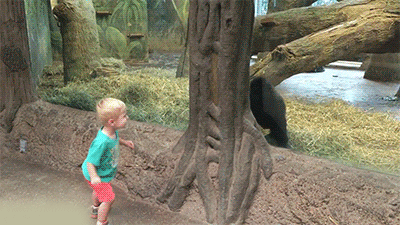 Baby Seek Gif Find Share On Giphy