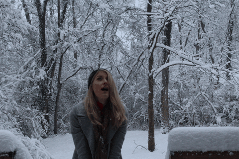 stephen sharer snow day