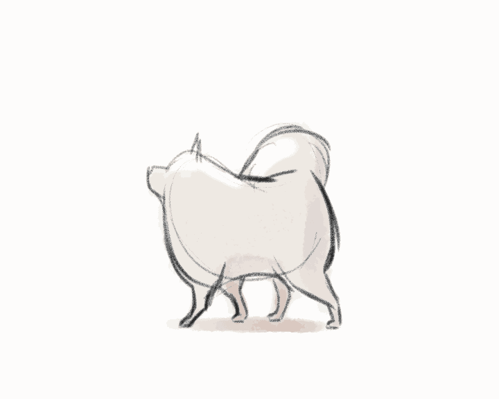 Animation GIF Find & Share on GIPHY