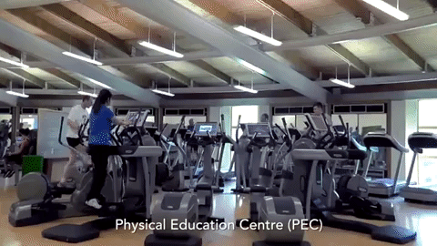 Qub #Sport GIF
