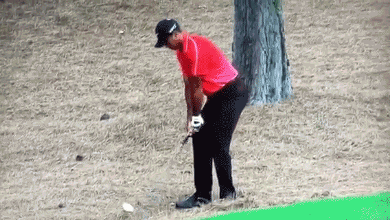 sports animated GIF