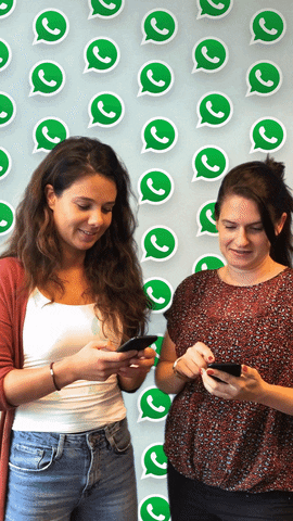 Cómo activar reacciones en WhatsApp - Blog Hola Telcel