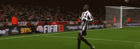 Newcastle United Fc GIFs - Find & Share on GIPHY