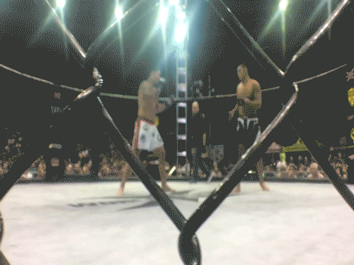 Animated GIF - Find & Share on GIPHY