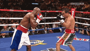 Floyd Mayweather Collection GIF - Find & Share on GIPHY