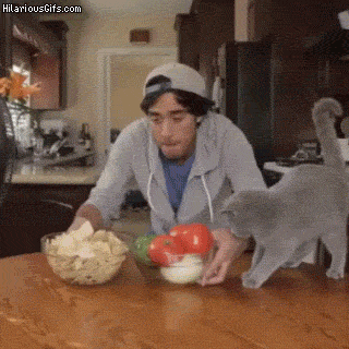 What sorcery is this in funny gifs