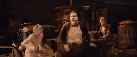 James Corden GIF by Cats Movie - Find & Share on GIPHY