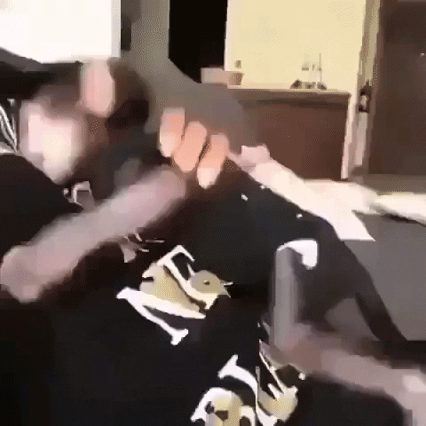 giphy.gif