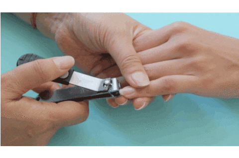Nails GIF - Find & Share on GIPHY