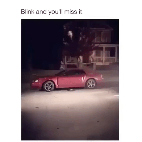 Dont Blink in funny gifs