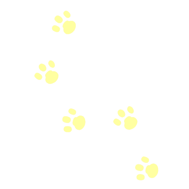 Kitty Paws Stickers Find & Share on GIPHY