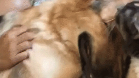 The smile says it all GIF