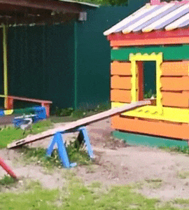Crow playing seesaw in funny gifs