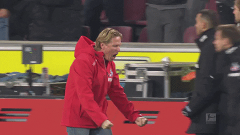 Come On Football GIF by 1. FC Köln - Find & Share on GIPHY