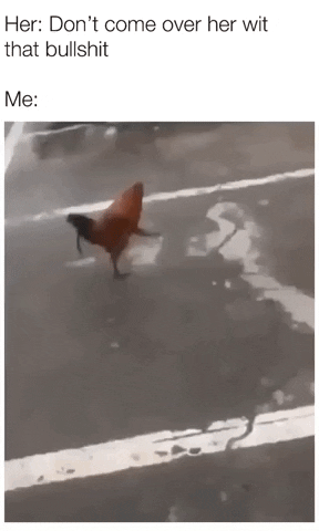 Chichen doing military walk in funny gifs