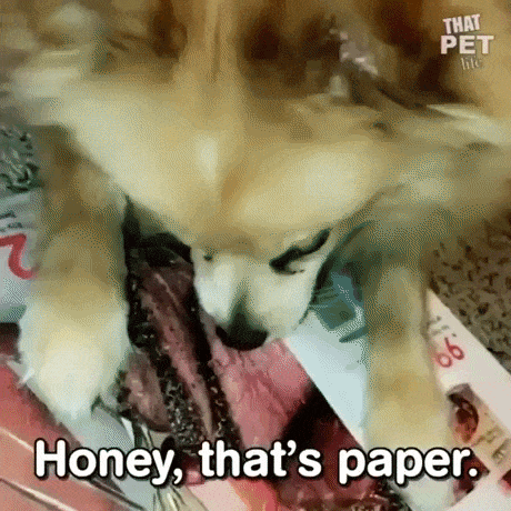 Eat what you want in funny gifs