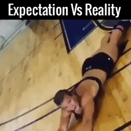 Expectation Vs Reality in funny gifs