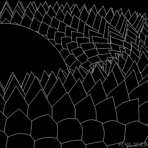 Black And White Moving Wallpaper