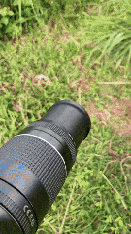 giphy-downsized-large.gif