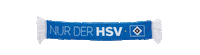HSV Sticker
