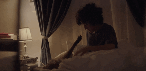 High Five Alia Shawkat Gif By The Orchard Films Find Share On Giphy
