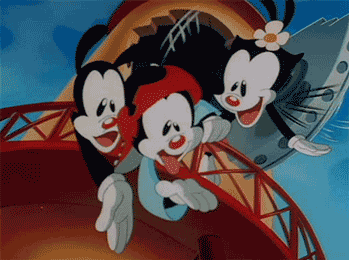 Image result for animaniacs gifs