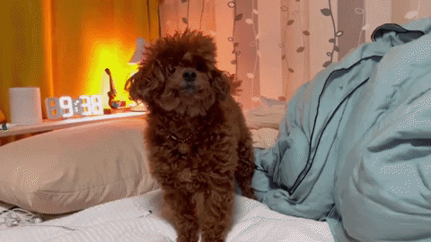 응 GIF - Find & Share on GIPHY