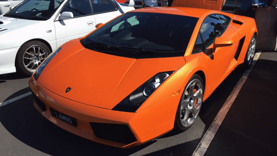 GIF Find & Share on GIPHY