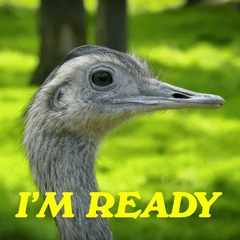 SWAG GIF
