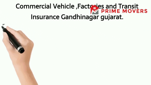 99% Discounted Insurance Services Gandhinagar