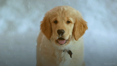 Christmas Make GIF - Find &amp; Share on GIPHY