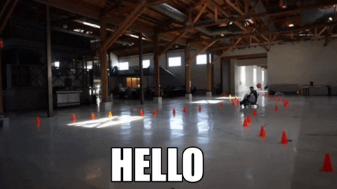 giphy.gif