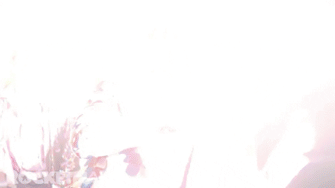 giphy