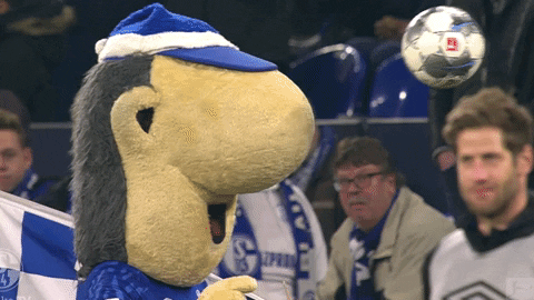 GIF by FC Schalke 04 - Find & Share on GIPHY