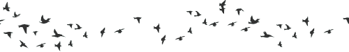 source.gif