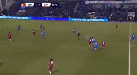 هدف ليفربول الثاني "لووف" بالخطأ في مرماه
