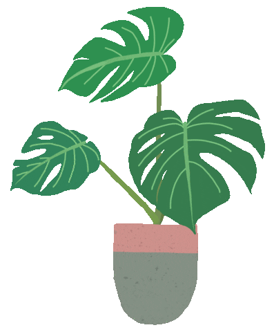 Indoor Plant Benefits