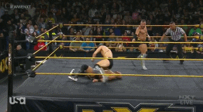 The Revival en NXT