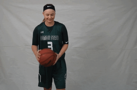 Bemidji State Beavers GIF