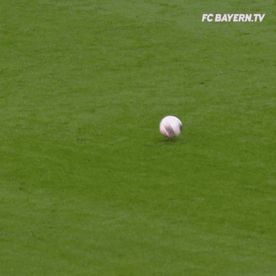 Football Sport GIF by FC Bayern Munich Find & Share on GIPHY