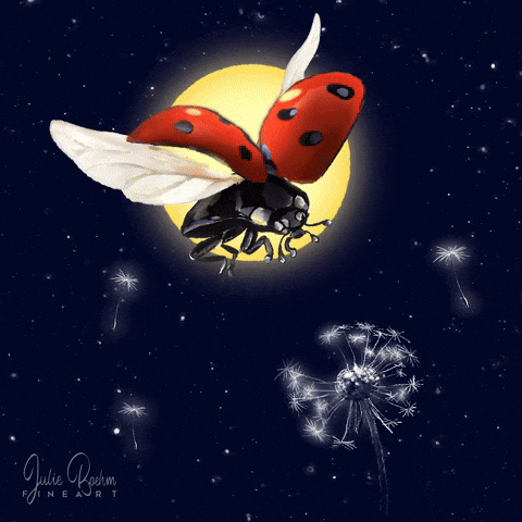 Dandelion's Flight - image 1 - student project