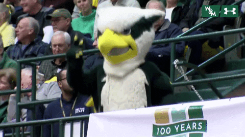 William & Mary Tribe Athletics GIF