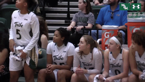 William & Mary Tribe Athletics GIF