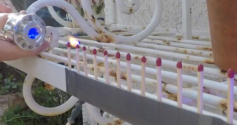 Animated GIF