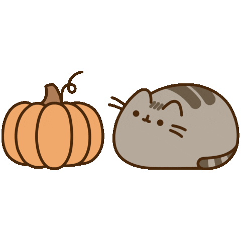 pusheen the cat