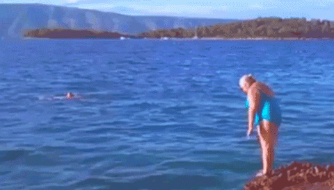 giphy.gif?cid=790b7611cc9559b5f9ed97c0d1