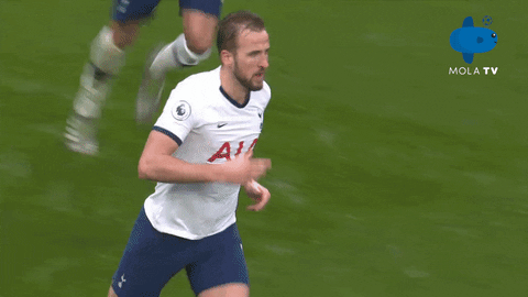 Tottenham GIFs - Find & Share on GIPHY