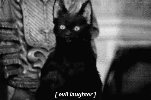 Salem laughing