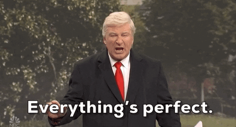 Image result for everything is perfect gif
