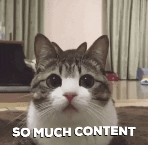Cats reading Veterinary CE content